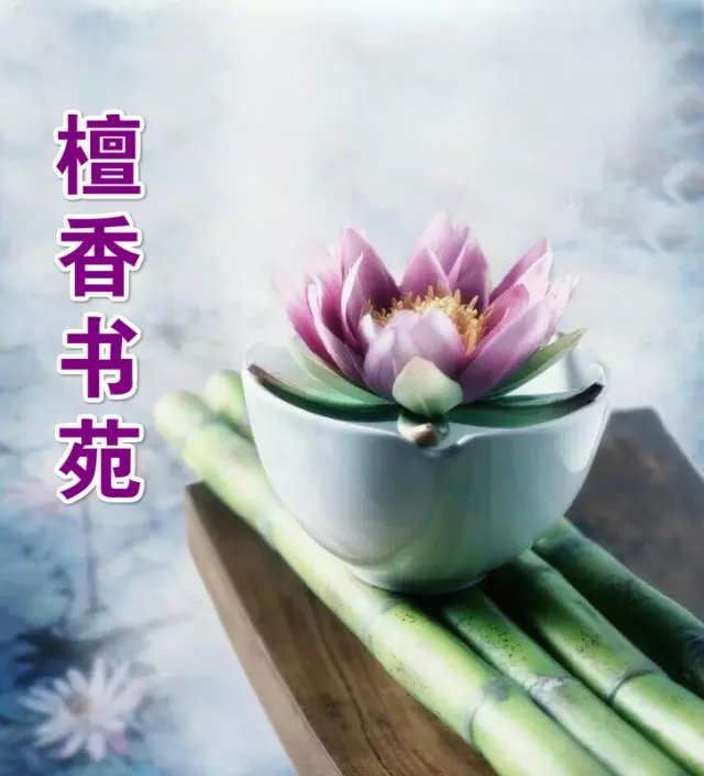 【檀香.某人杯】花殤離別（微型小說(shuō) 征文）