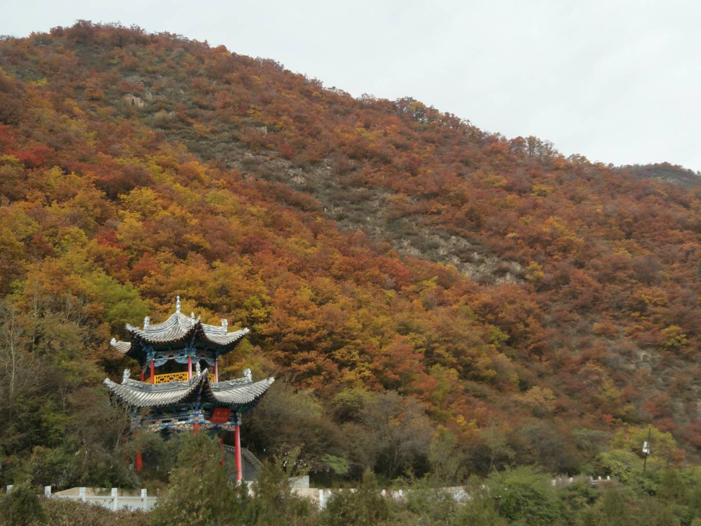 【荷塘“有獎金”征文】父親和興隆山（散文）