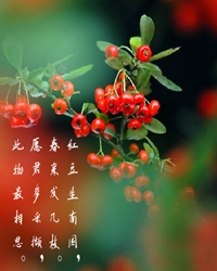 兩地相思，紅豆紅（外二章）