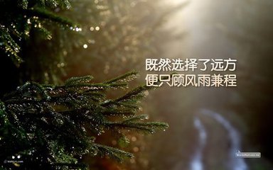 【江山宸光】春秋（中學(xué)組隨筆）