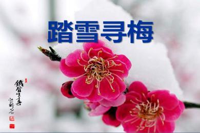 【軍警】落雪，有詩有襲（詩歌）