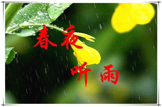 【丁香花語】春夜聽雨  (散文)