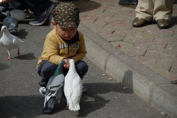 【西風(fēng)】遺落在歲月中的生靈（散文）