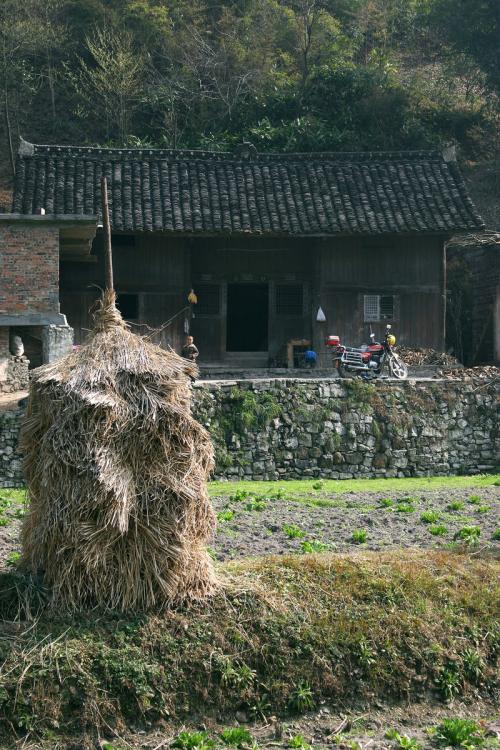 【酒家】往南，去外婆家（散文）