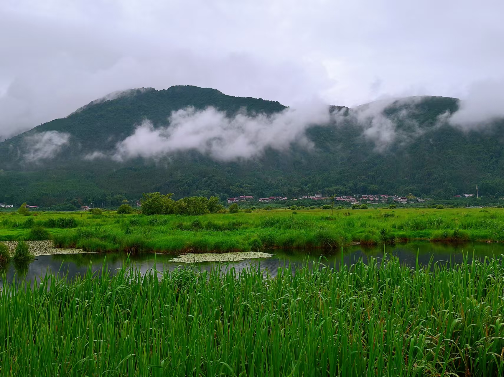 【江山·根與魂】【寧?kù)o】泛舟草海（散文）