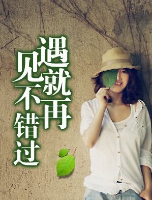 【柳岸】如果遇見，請不要錯(cuò)過（小說）