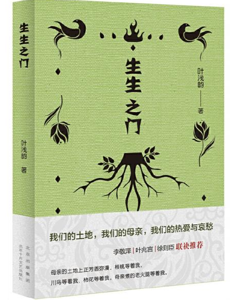 【流年】新時(shí)代生生不息的極致書寫（賞析）